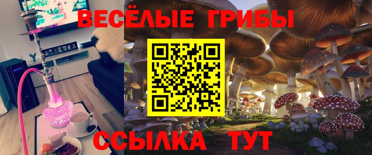 Пыть-Ях  Галлюциногенные грибы MAGIC MUSHROOMS  Вход с VPN 